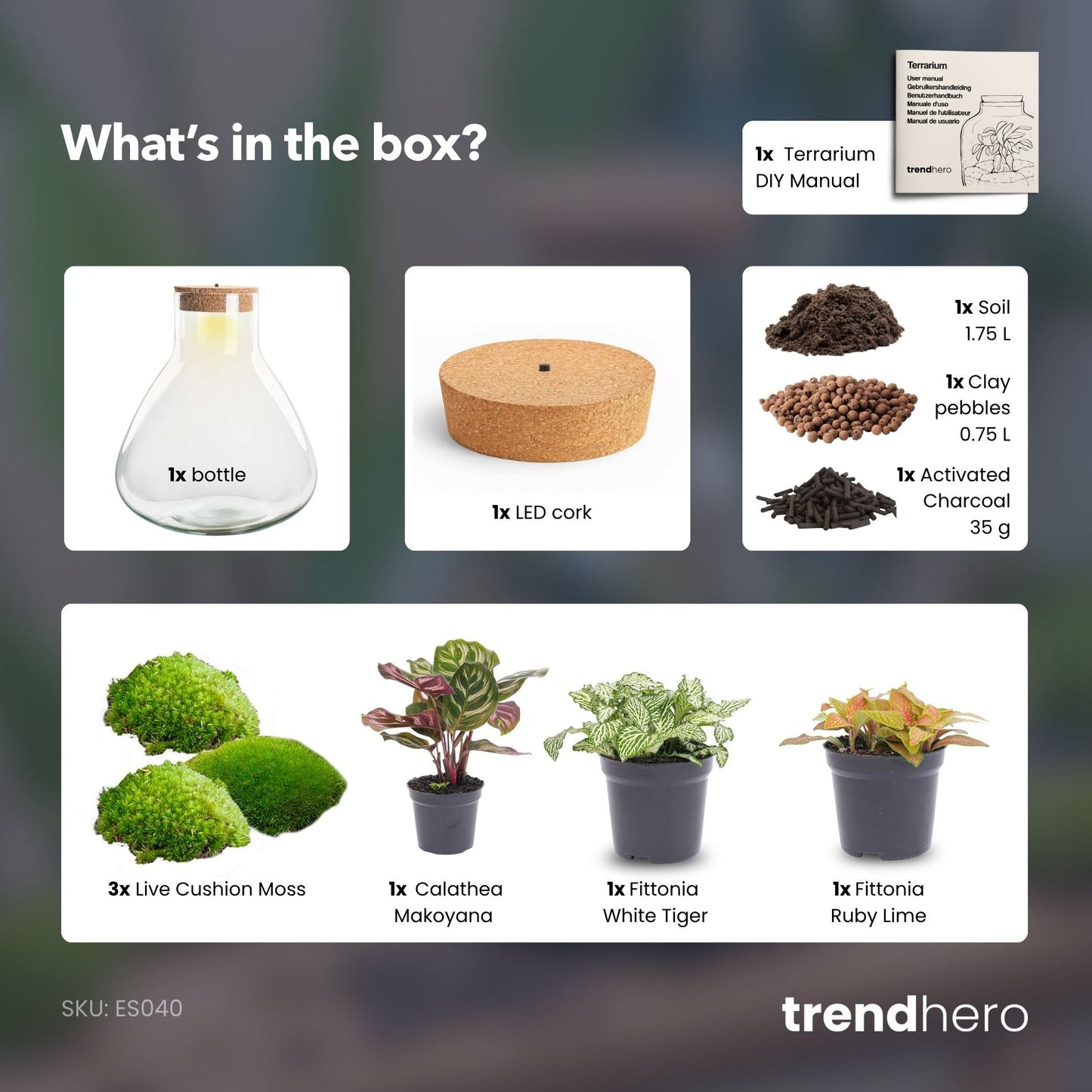 Sam XL Red - Terrarium with light - Bottle garden DIY kit - Ø 30 cm ↑ 32 cm