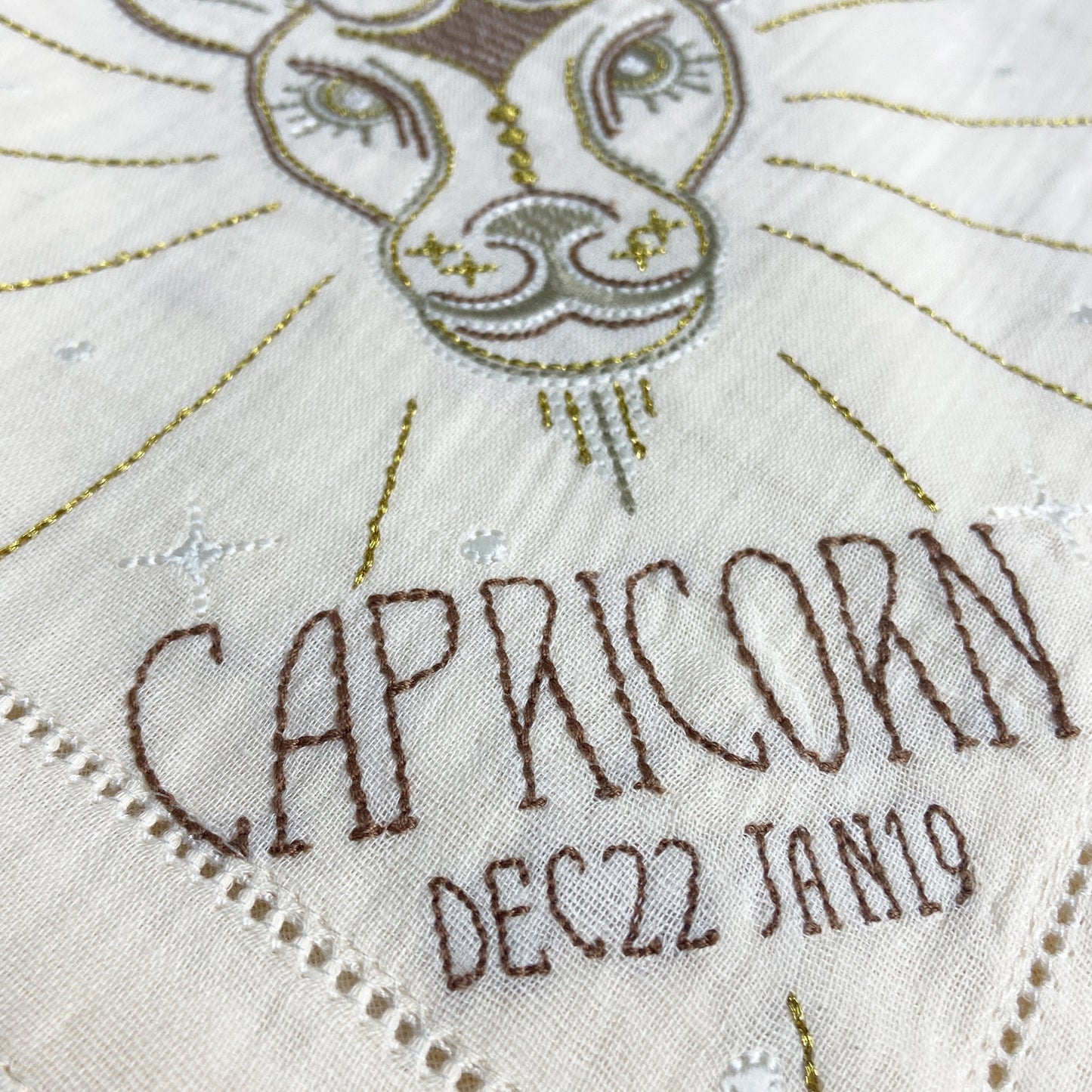 CAPRICORN DEC 22-JAN 19
