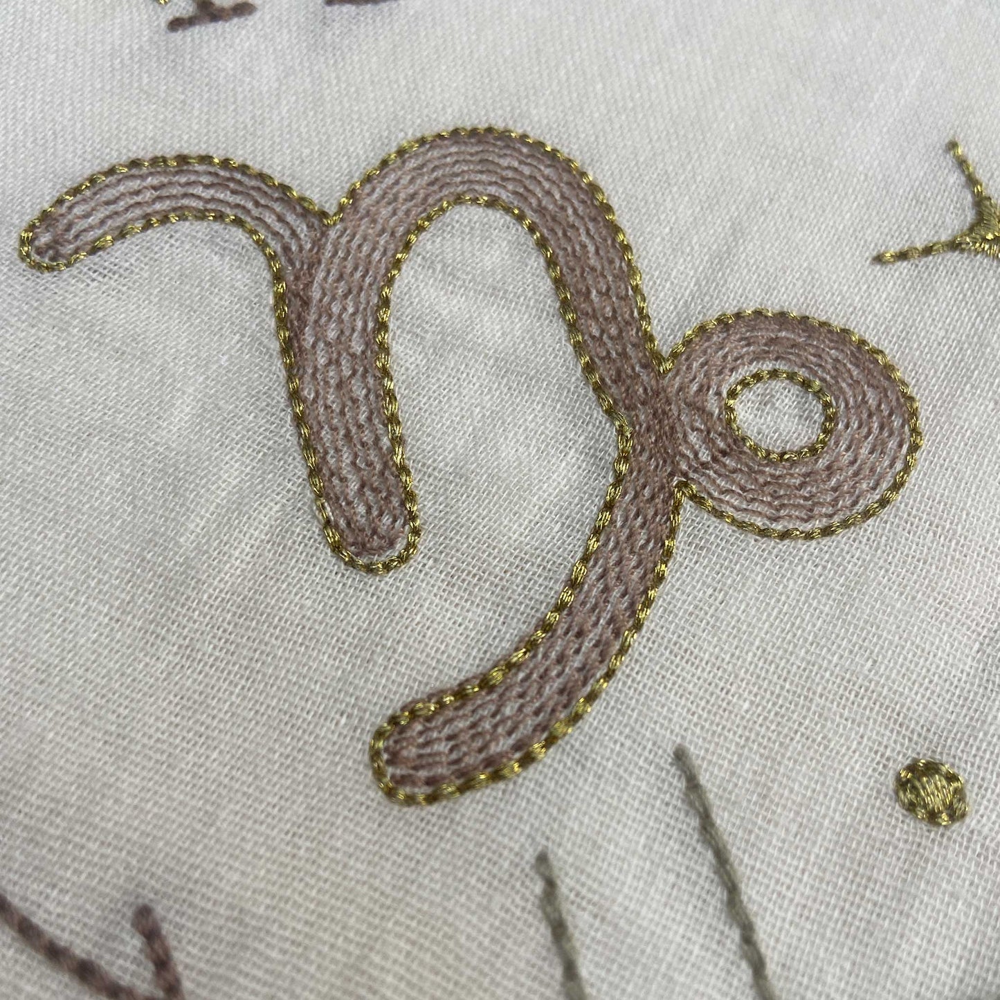 CAPRICORN DEC 22-JAN 19