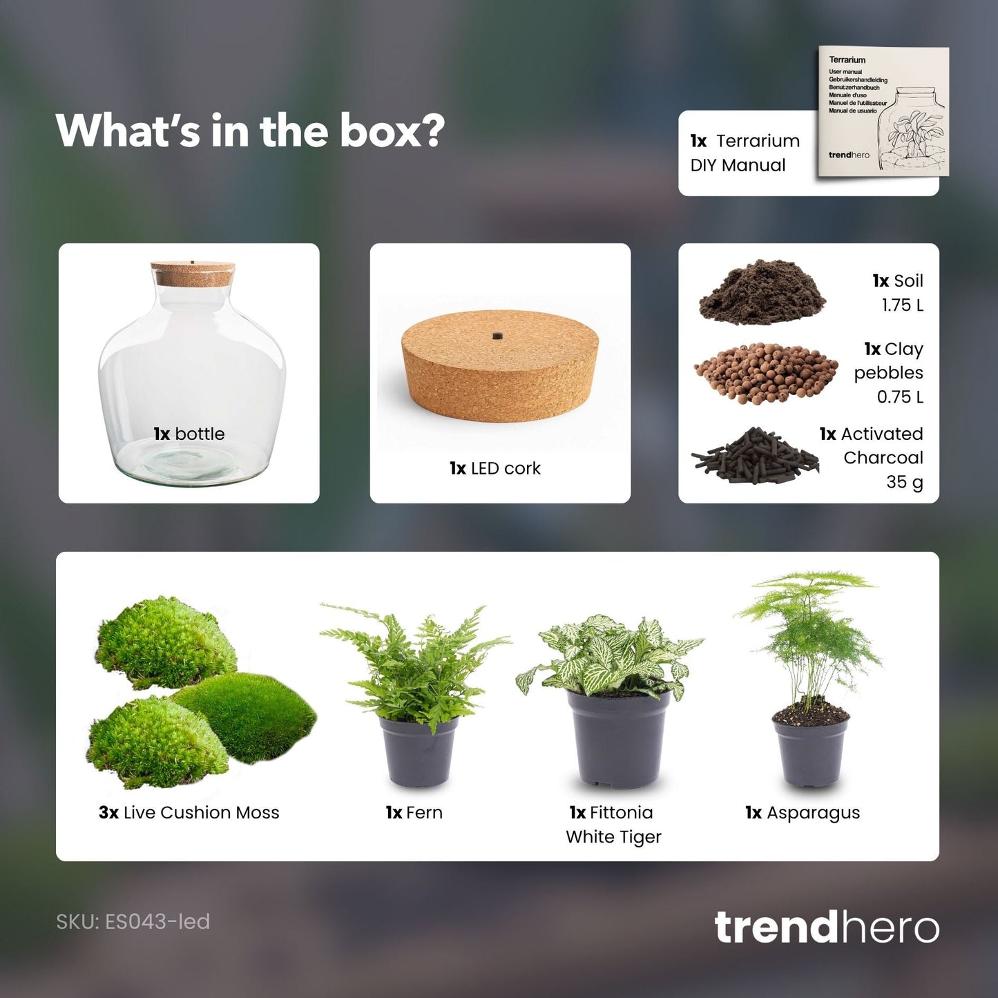 Fat Joe Green - Terrarium with light - Bottle garden DIY kit - Ø 29 cm ↑ 30 cm