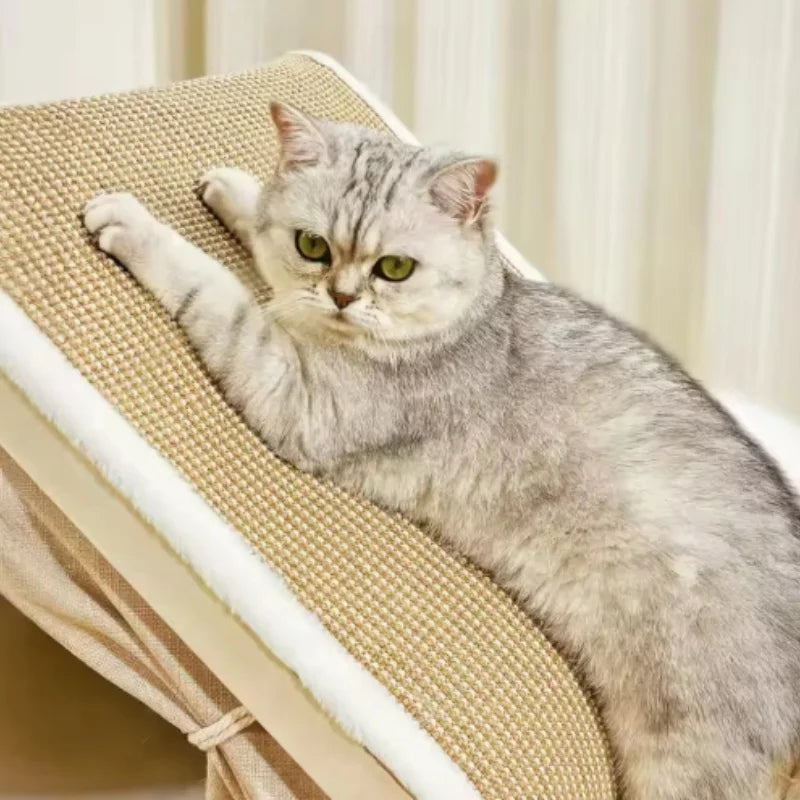 Cat House + Scratching Post