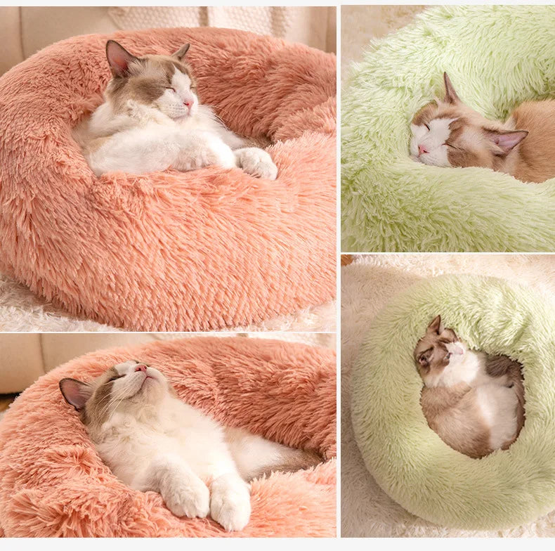 Kattenkussen donut