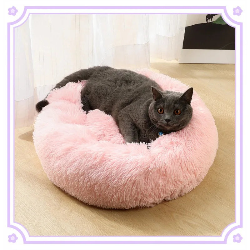 Kattenkussen donut