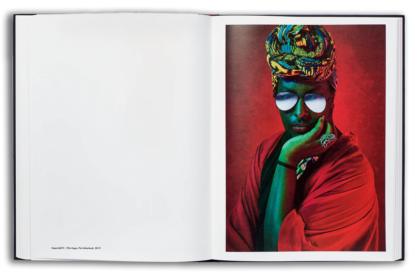 Mayflies Coffee Table Book