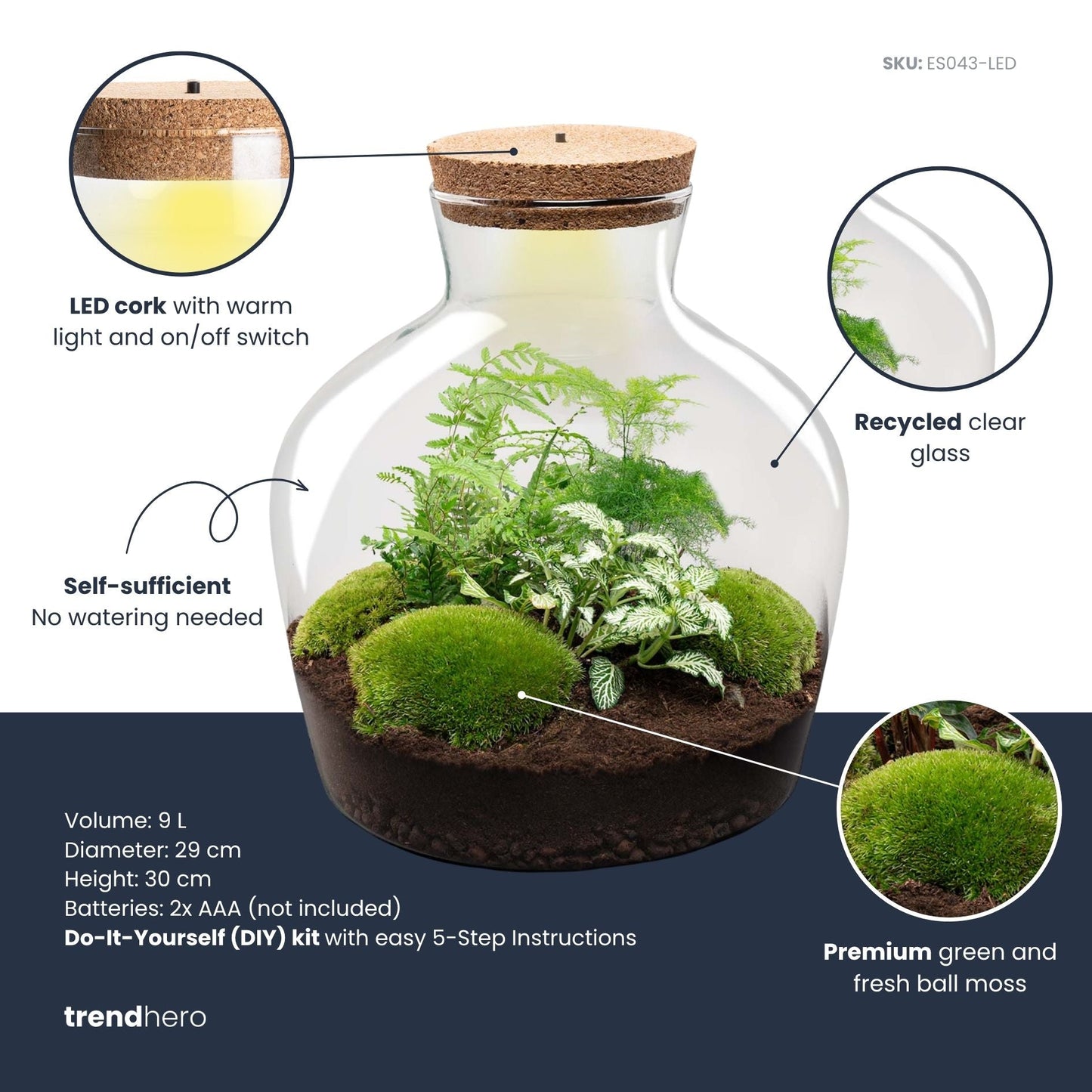 Fat Joe Green - Terrarium with light - Bottle garden DIY kit - Ø 29 cm ↑ 30 cm