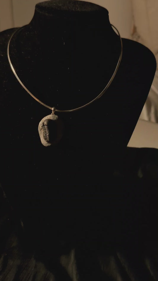 Grounding, Transformation Ancient Wisdom & Protection