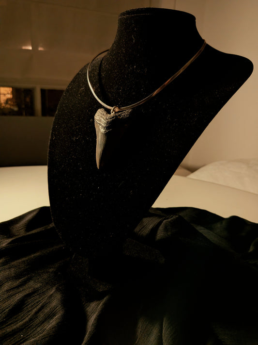 Raw Ancient Power & Protection