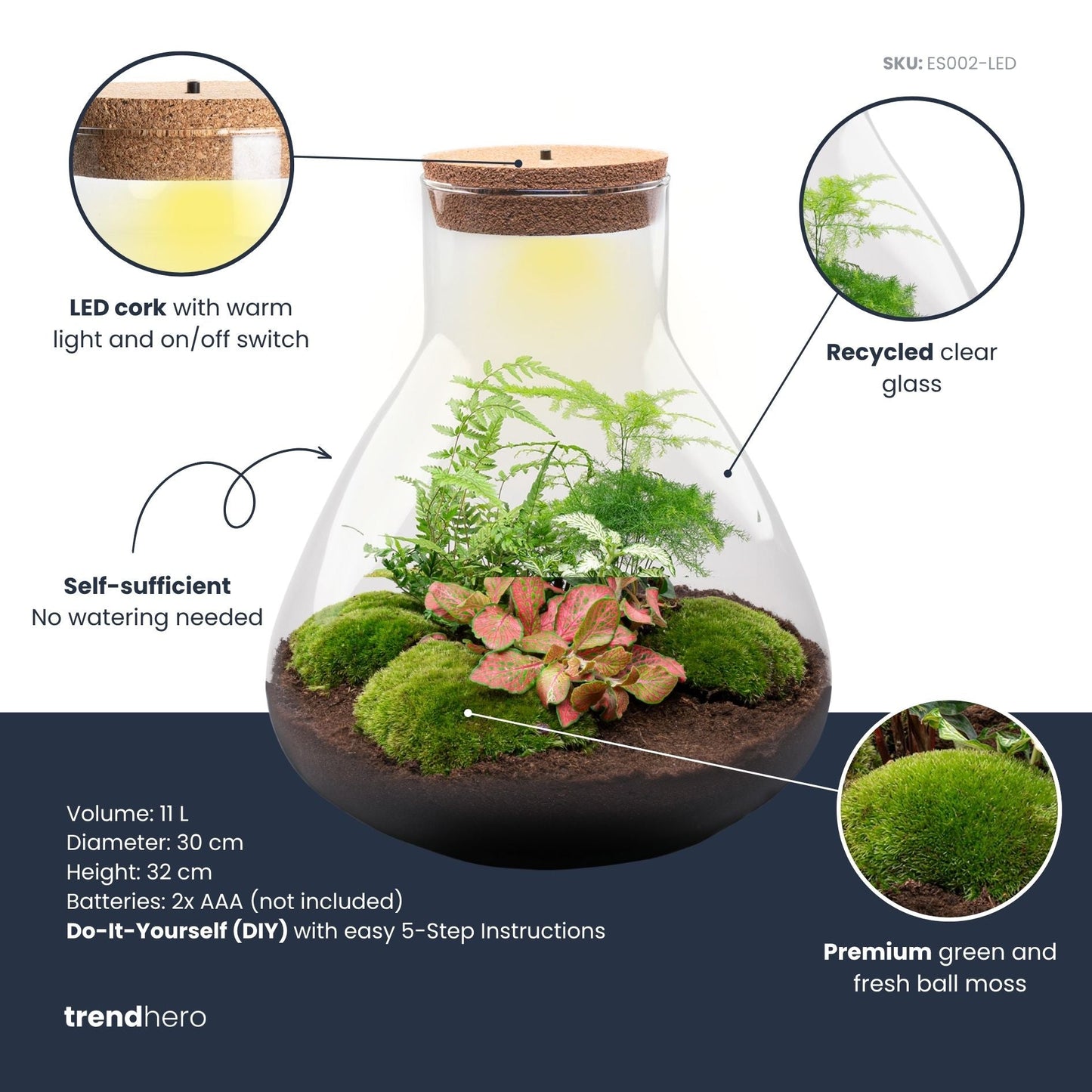 Sam XL Red - Terrarium with light - Bottle garden DIY kit - Ø 30 cm ↑ 32 cm
